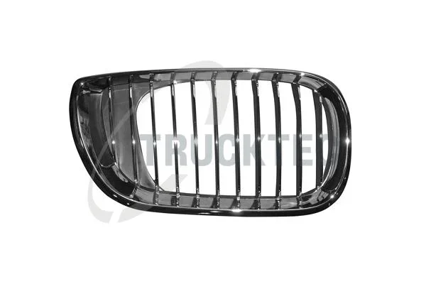 Mrizka chladice TRUCKTEC AUTOMOTIVE 08.62.306 – OE 51137042962