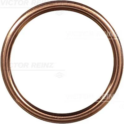 Tesnici krouzek, olejova vypousteci zatka VICTOR REINZ 41-72065-30 Tesnici krouzek, olejova vypousteci zatka VICTOR REINZ 41-72065-30