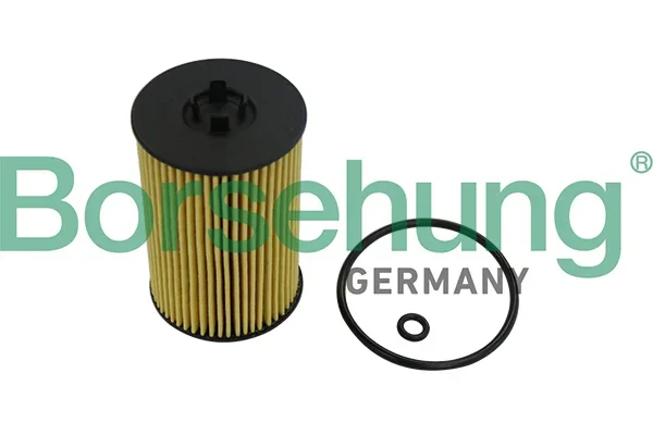 Olejový filtr Borsehung B10532