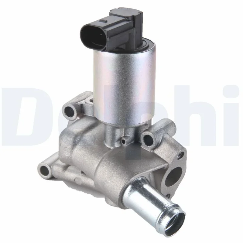 AGR-Ventil DELPHI EG10289-12B1 AGR-Ventil DELPHI EG10289-12B1