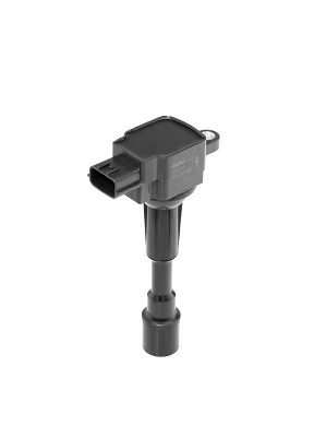 Zapalovací cívka BorgWarner ZSE216