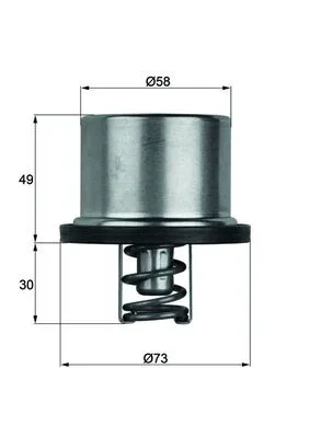 Termostat, chladivo MAHLE THD175