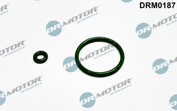 Sada tesneni, vstrikovaci tryska Dr.Motor Automotive DRM0187