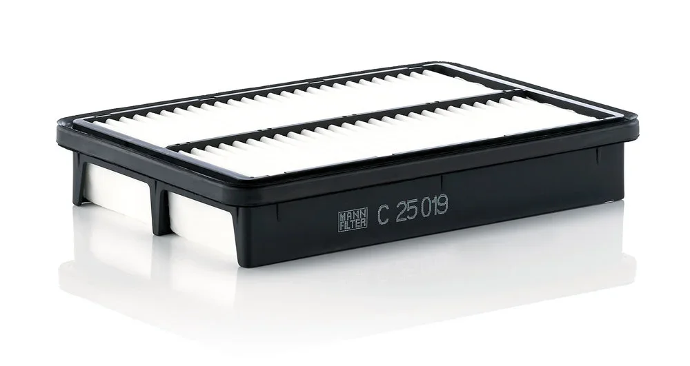 Vzduchový filtr MANN-FILTER C25019 – OE 28113-2F250