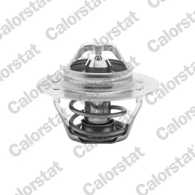 Termostat, chladivo CALORSTAT by Vernet TH5108.75J